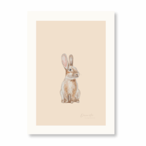 Poster Kinderkamer | Haasje